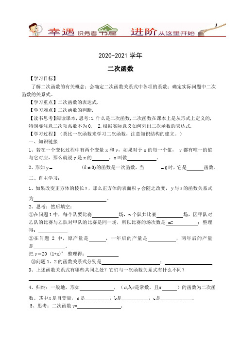 2020-2021学年九年级数学(学案)-二次函数