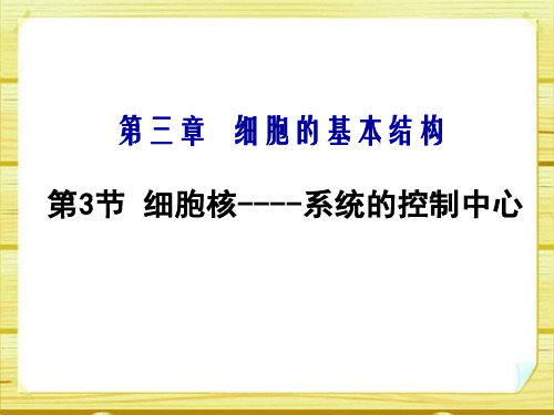 3.3 细胞核 人教版高中生物必修一课件(共45张PPT)