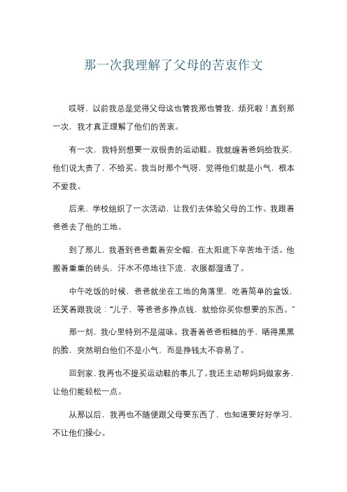 那一次我理解了父母的苦衷作文