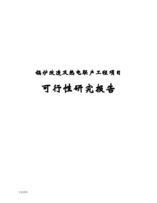 纸业有限公司锅炉改造及热电联产工程项目可行性研究报告