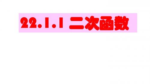 人教版九年级数学上册：22.1.1 二次函数  课件(共21张PPT)