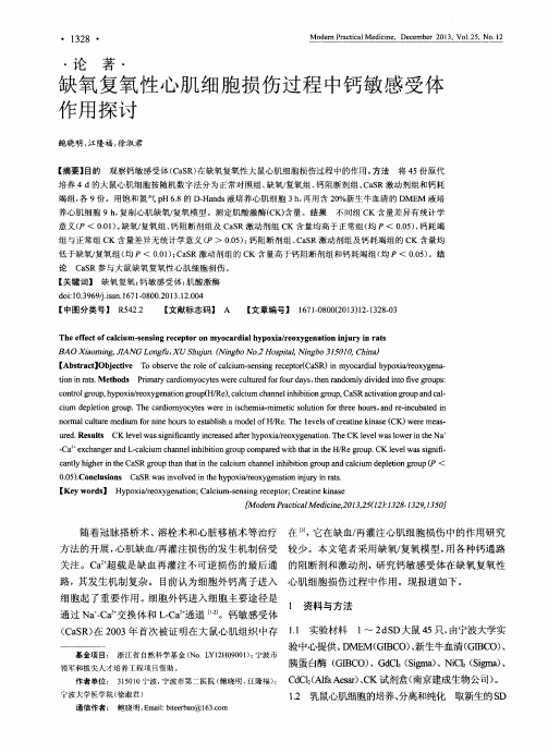 缺氧复氧性心肌细胞损伤过程中钙敏感受体作用探讨