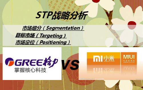 小米和格力的STP SWOT分析PPT课件