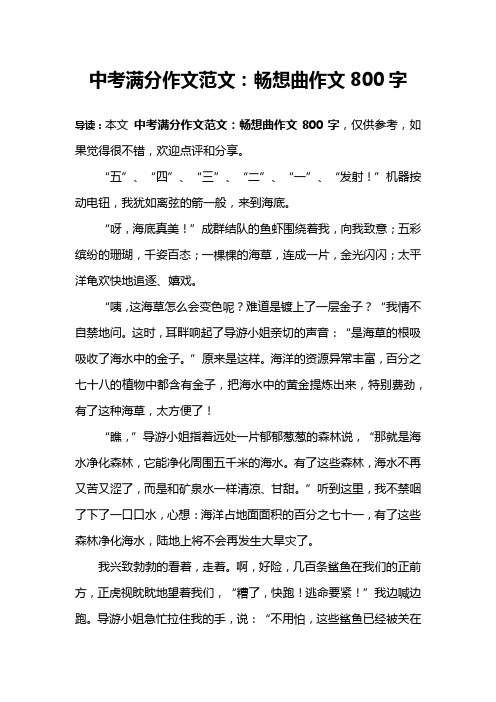 中考满分作文范文:畅想曲作文800字