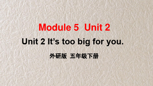 外研版英语五年级下册Module 5 Unit 2 It's too big for you