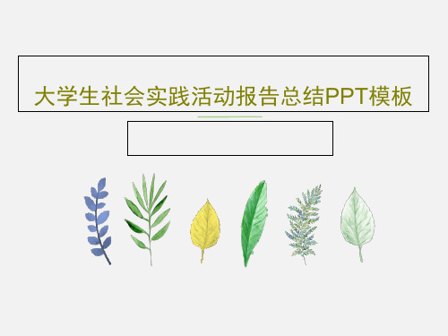 大学生社会实践活动报告总结PPT模板共21页