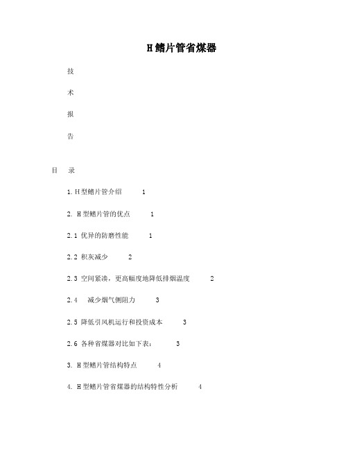 H鳍片管省煤器技术报告