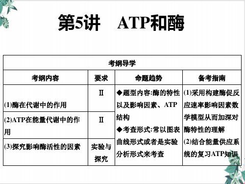 酶和ATP-高考一轮复习生物优质PPT课件