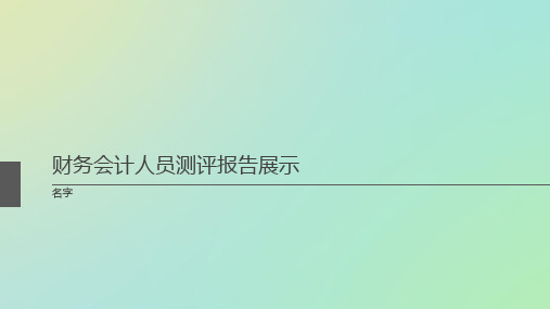 财务会计人员测评报告展示