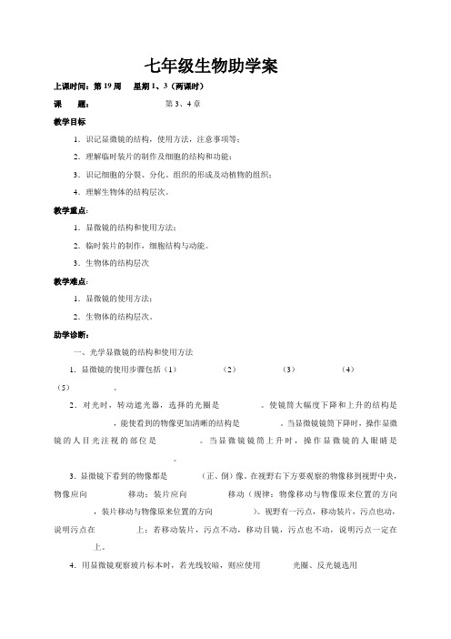 福建省龙岩市永定区湖坑中学人教版生物七年级上册期末复习助学案第3、4章(无答案)