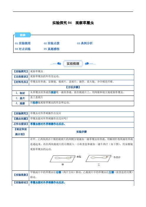 【七年级生物实验】实验探究04  观察草履虫(原卷版)