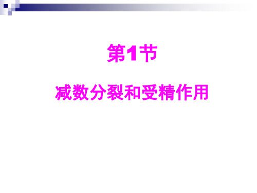 人教版高中生物必修二《遗传与进化》完整课件