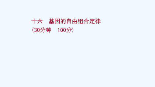 2022年新教材高考生物一轮复习作业十六基因的自由组合定律课件新人教版202106022186