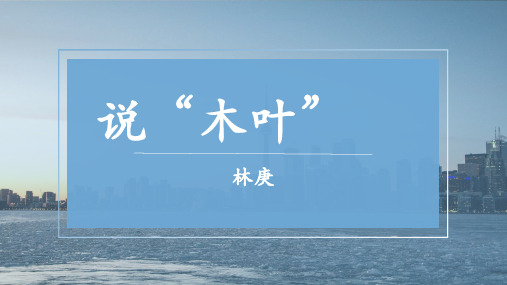 高中语文统编版必修下册第九课《说“木叶”》课件18张(精)