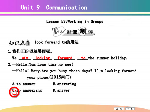 冀教版英语九年级Unit 9 Lesson 53 Working in Groups