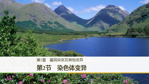 2019_2020学年高一人教版生物必修二课件:5.2染色体变异