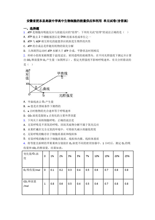 安徽省肥东县高级中学高中生物细胞的能量供应和利用 单元试卷(含答案)