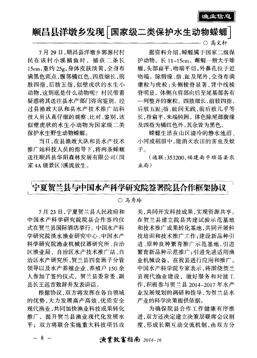 顺昌县洋墩乡发现[国家级二类保护水生动物蝾螈]