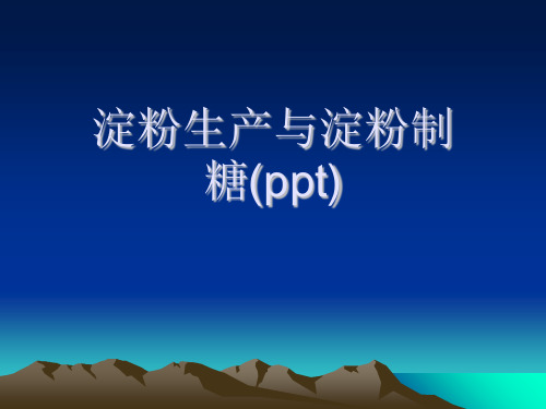 淀粉生产与淀粉制糖(ppt)