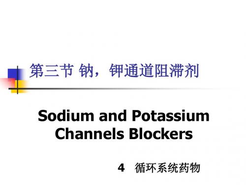 钠,钾通道阻滞剂-PPT课件