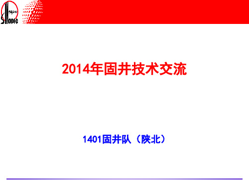 裸眼水平井分段压裂技术准备汇报