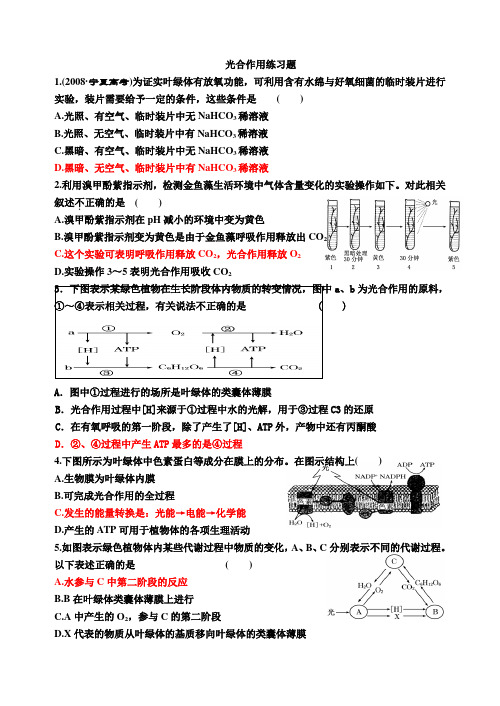 高中生物光合作用精选练习题(含解释)