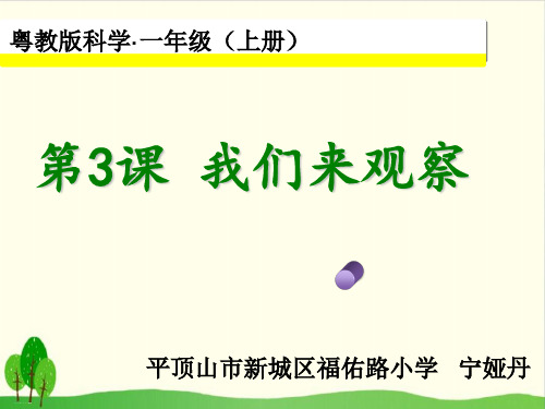 一年级上册科学课件：3我们来观察 粤教版 (共36张PPT)