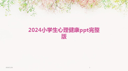 2024小学生心理健康ppt完整版