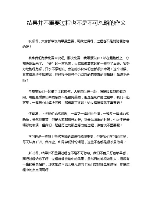 结果并不重要过程也不是不可忽略的作文