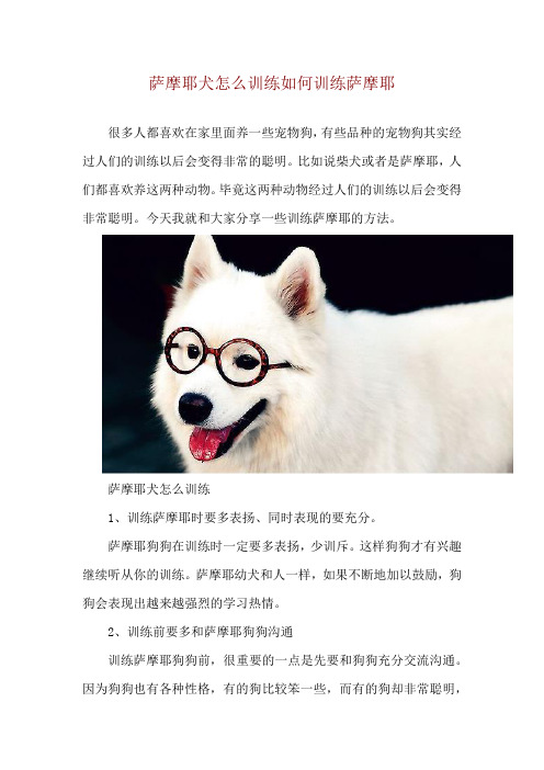 萨摩耶犬怎么训练 如何训练萨摩耶