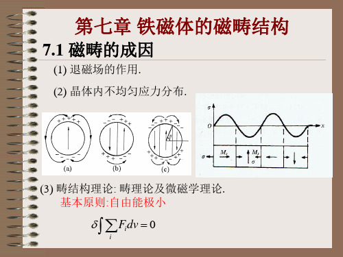 铁磁学PPT课件-铁磁体的磁畴结构