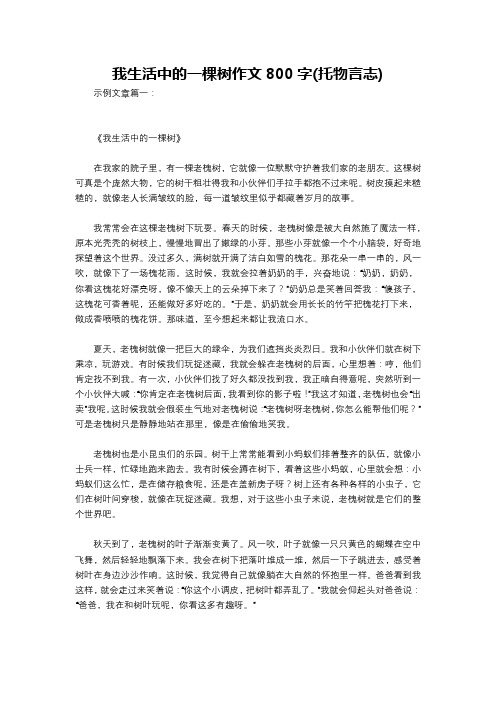 我生活中的一棵树作文800字(托物言志)