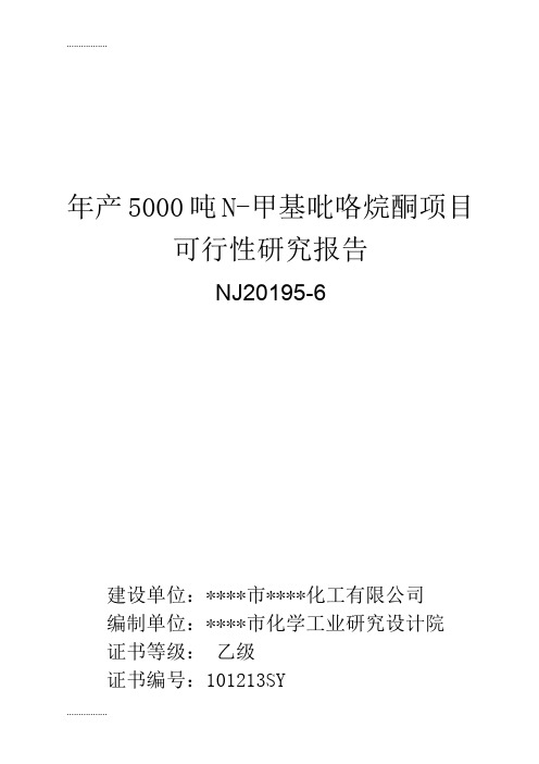 (整理)ll年产5000吨N-甲基吡咯烷酮项目可行性研究报告(同名2363)