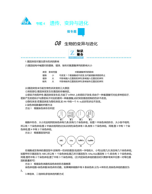 2020年高考高三生物二轮专题复习文档：专题4微专题08生物的变异与进化Word版含解析