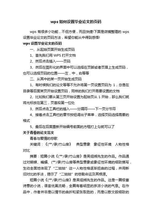 wps如何设置毕业论文的页码