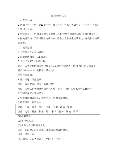 11.蟋蟀的住宅 教学设计 2024-2025学年部编版语文四年级上册