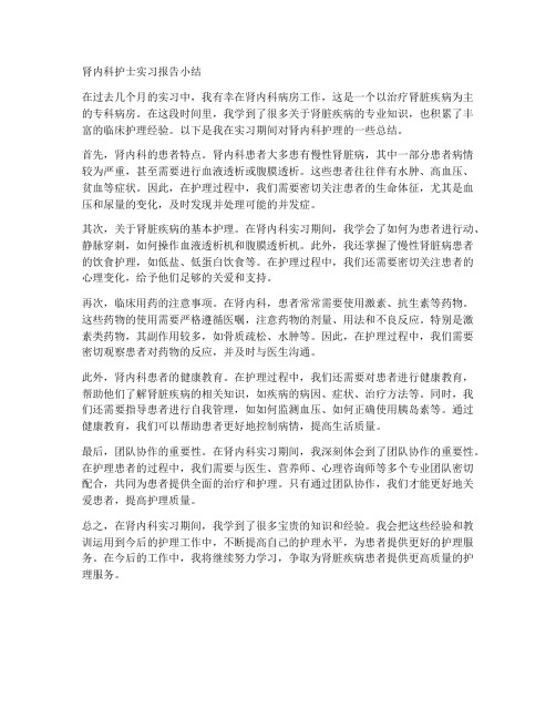 肾内科护士实习报告小结