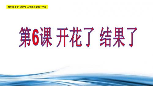 教科版三年级科学下册《 植物的生长变化  开花了,结果了》公开课课件_27