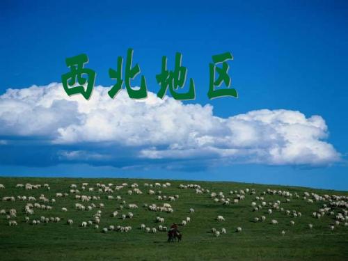11.中国地理分区——西北地区zxy