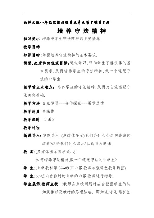 北师大版思想品德八年级《培养守法精神》教案