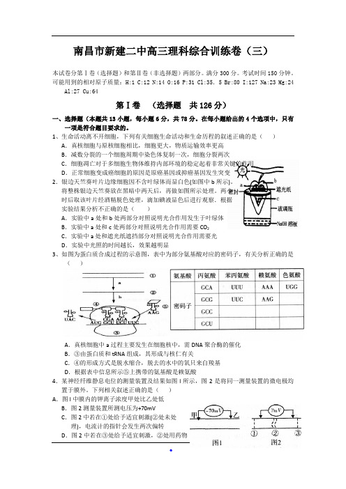 江西省南昌市新建二中高三理综模拟(三)生物试题