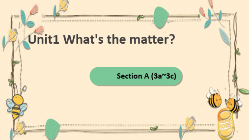 人教八年级下册 第一单元section A 3a~3c(PPT11张)