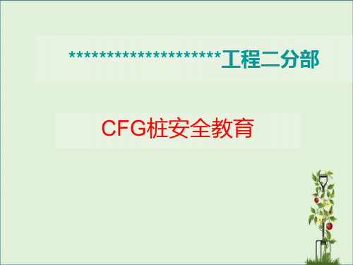 cfg桩安全教育详解