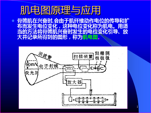 3-肌电图知识