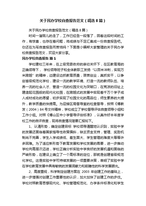 关于民办学校自查报告范文（精选8篇）