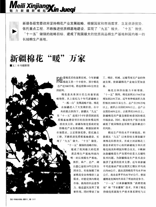 新疆棉花“暖”万家