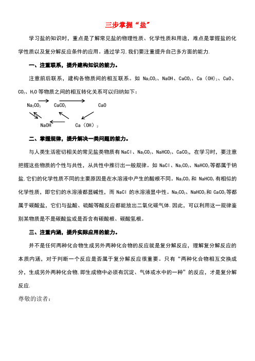 九年级化学全册第8单元海水中的化学三步掌握“盐”释疑解析素材鲁教版(new)