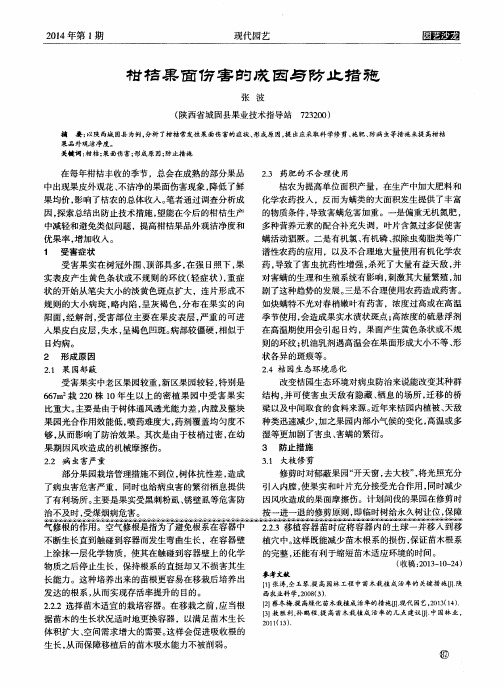 柑桔果面伤害的成因与防止措施