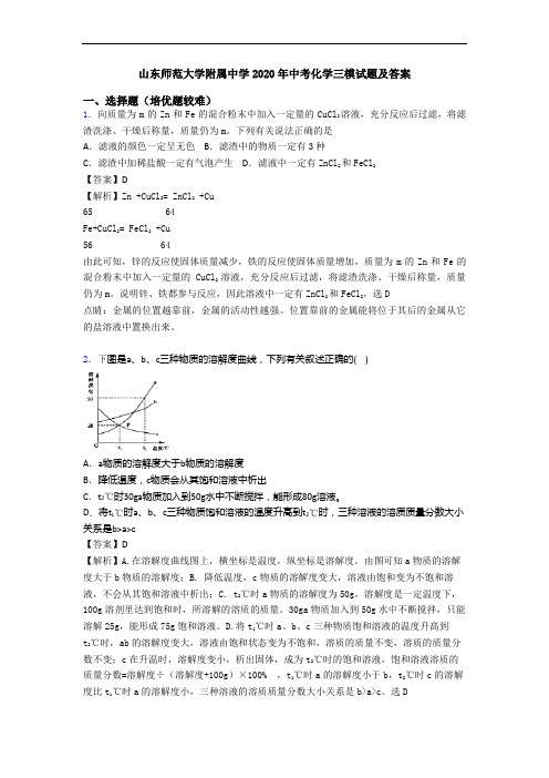 山东师范大学附属中学2020年中考化学三模试题及答案