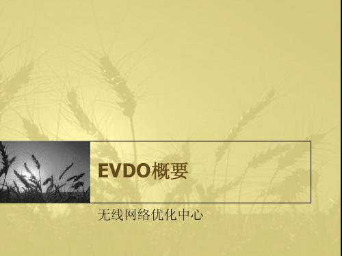 EVDO概要